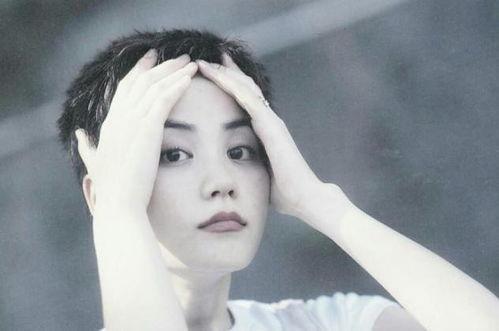 王菲政治背景,音乐传奇背后的政治风云